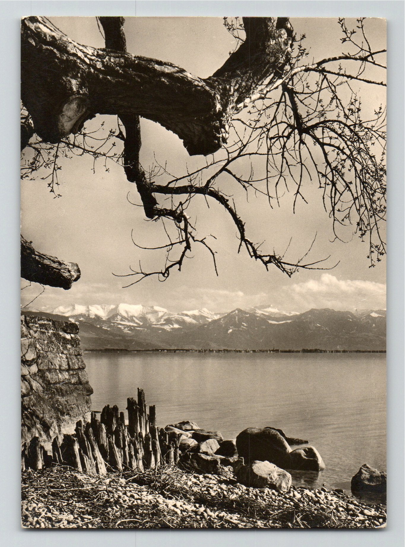 Ansichtskarte Am Bodensee - Blick gegen Vorarlberg