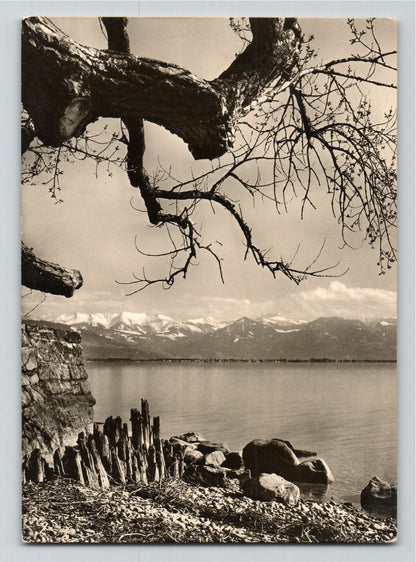 Ansichtskarte Am Bodensee - Blick gegen Vorarlberg