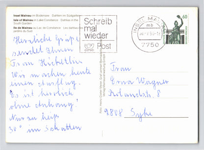 Ansichtskarte Insel Mainau im Bodensee - Dahlien im Südgarten