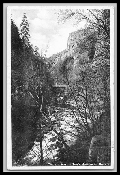 Ansichtskarte Thale am Harz / Teufelsbrücke im Bodetal