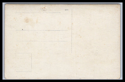 Ansichtskarte Schönes Gruppenbild beim Picknick im Wald