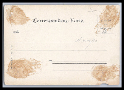 Ansichtskarte Innsbruck - Herzog-Friedrich-Straße - Tirol - Österreich