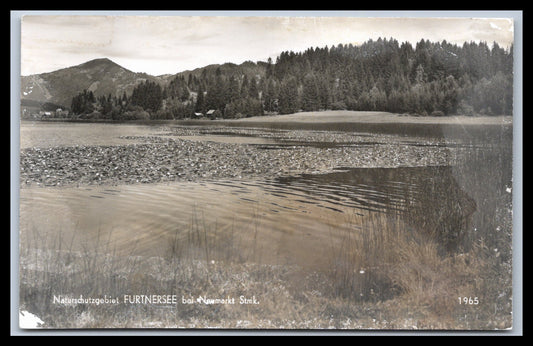 Ansichtskarte Furtnersee bei Neumarkt - Stmk. Österreich