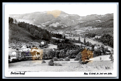 Ansichtskarte Salzerbad - N. Ö. Österreich