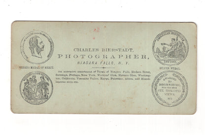 Fotografie Bridge to Second Sister Island / Niagara Falls