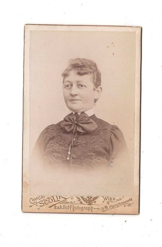 Fotografie Damenportrait / benannt - Wien um 1890 / CDV N1-15