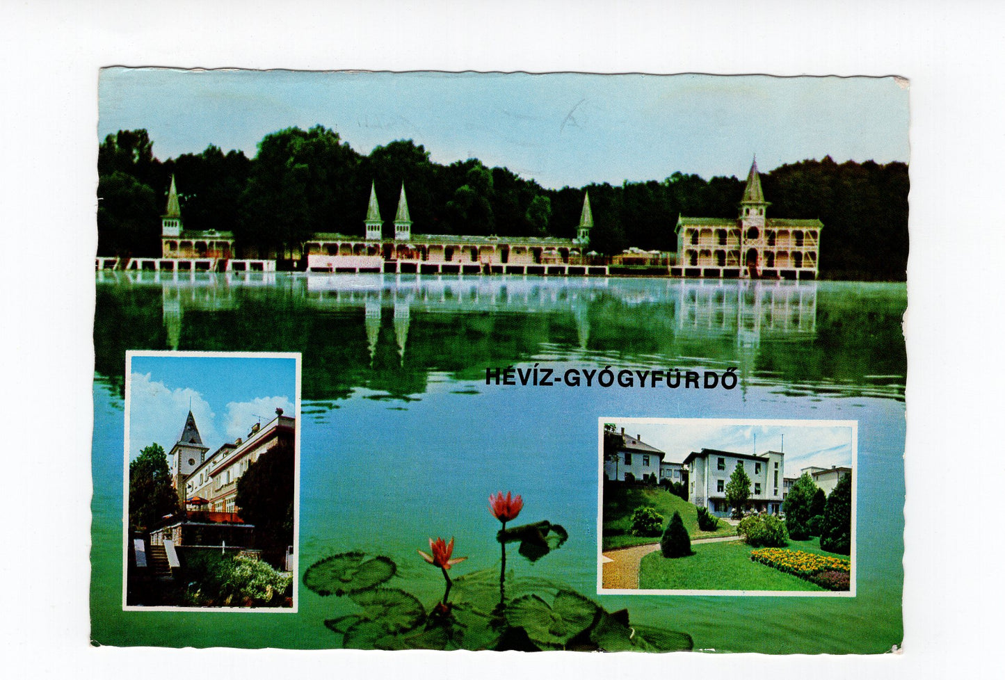 Ansichtskarte Heviz / Heilbad / Ungarn
