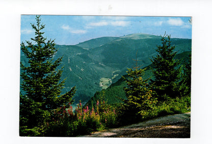 Ansichtskarte Im Hochschwarzwald / Feldbergblick