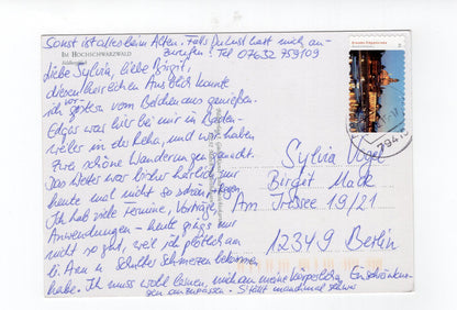 Ansichtskarte Im Hochschwarzwald / Feldbergblick