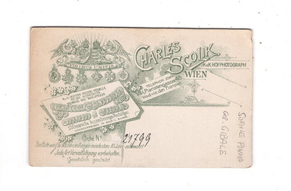 Fotografie Damenportrait / benannt - Wien um 1890 / CDV N1-15