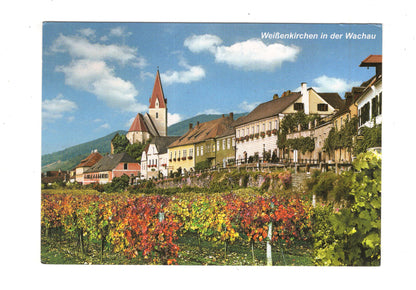 Ansichtskarte Weißenkirchen in der Wachau / Niederösterreich / Österreich
