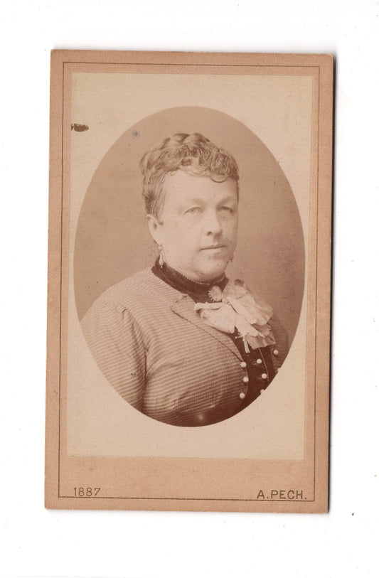 Fotografie Damenportrait - Budweis 1887 / CDV C1-05
