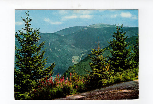 Ansichtskarte Im Hochschwarzwald / Feldbergblick