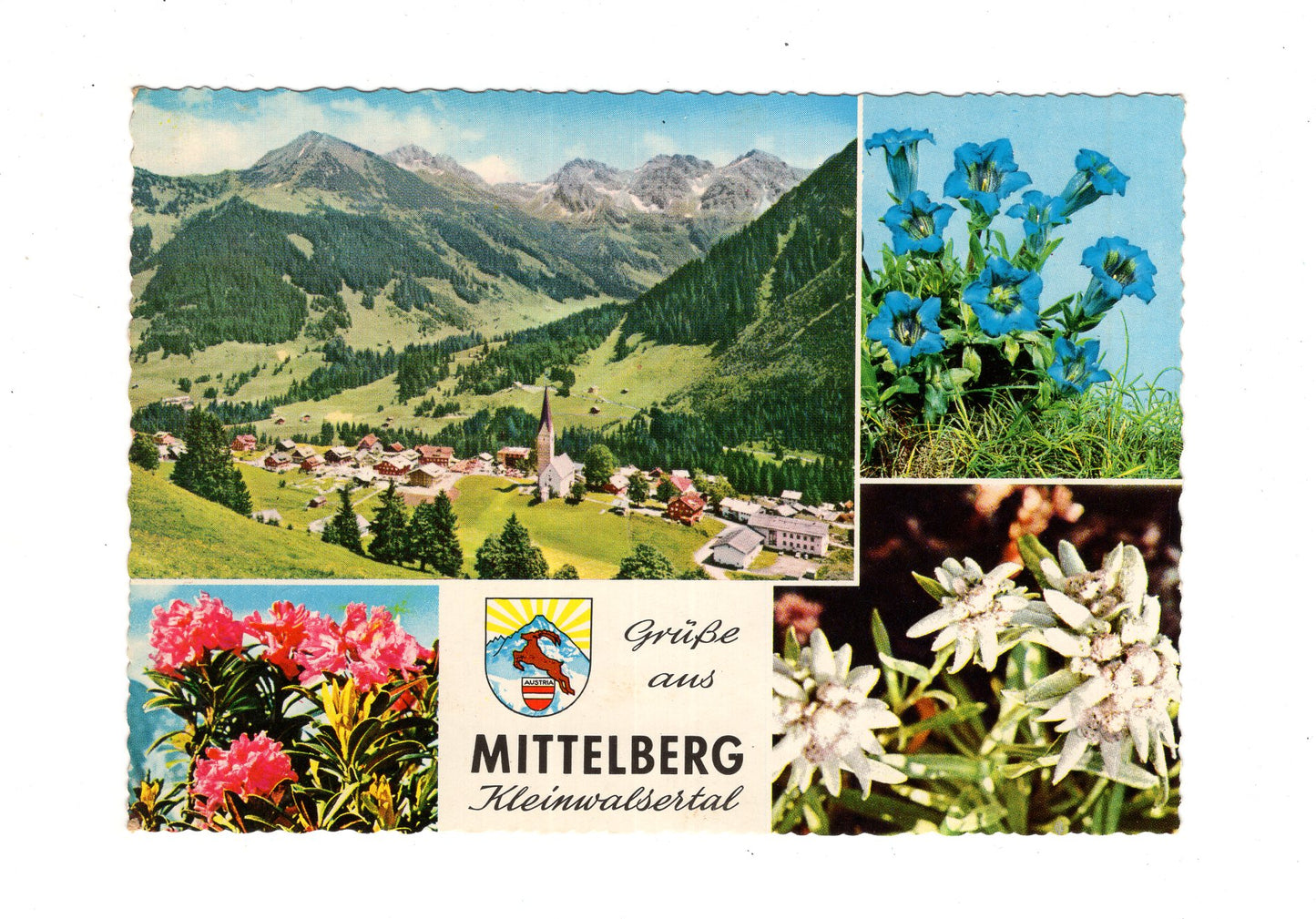 Ansichtskarte Mittelberg / Kleinwalsertal / Österreich