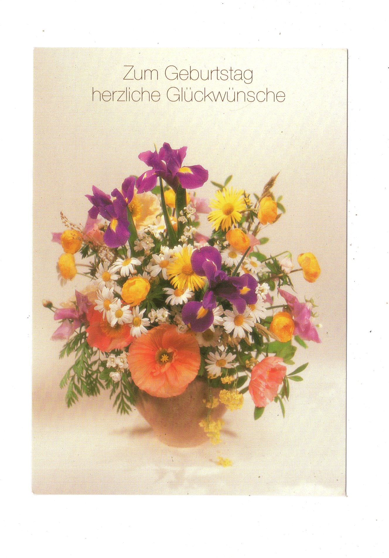 Ansichtskarte Glückwünsche / Glückwunsch zum Geburtstag / L1-58