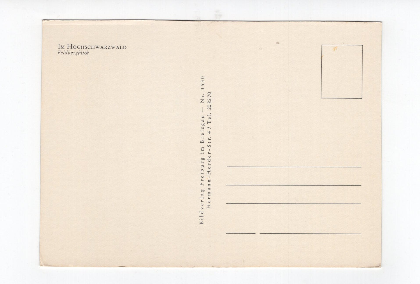 Ansichtskarte Im Hochschwarzwald / Feldbergblick