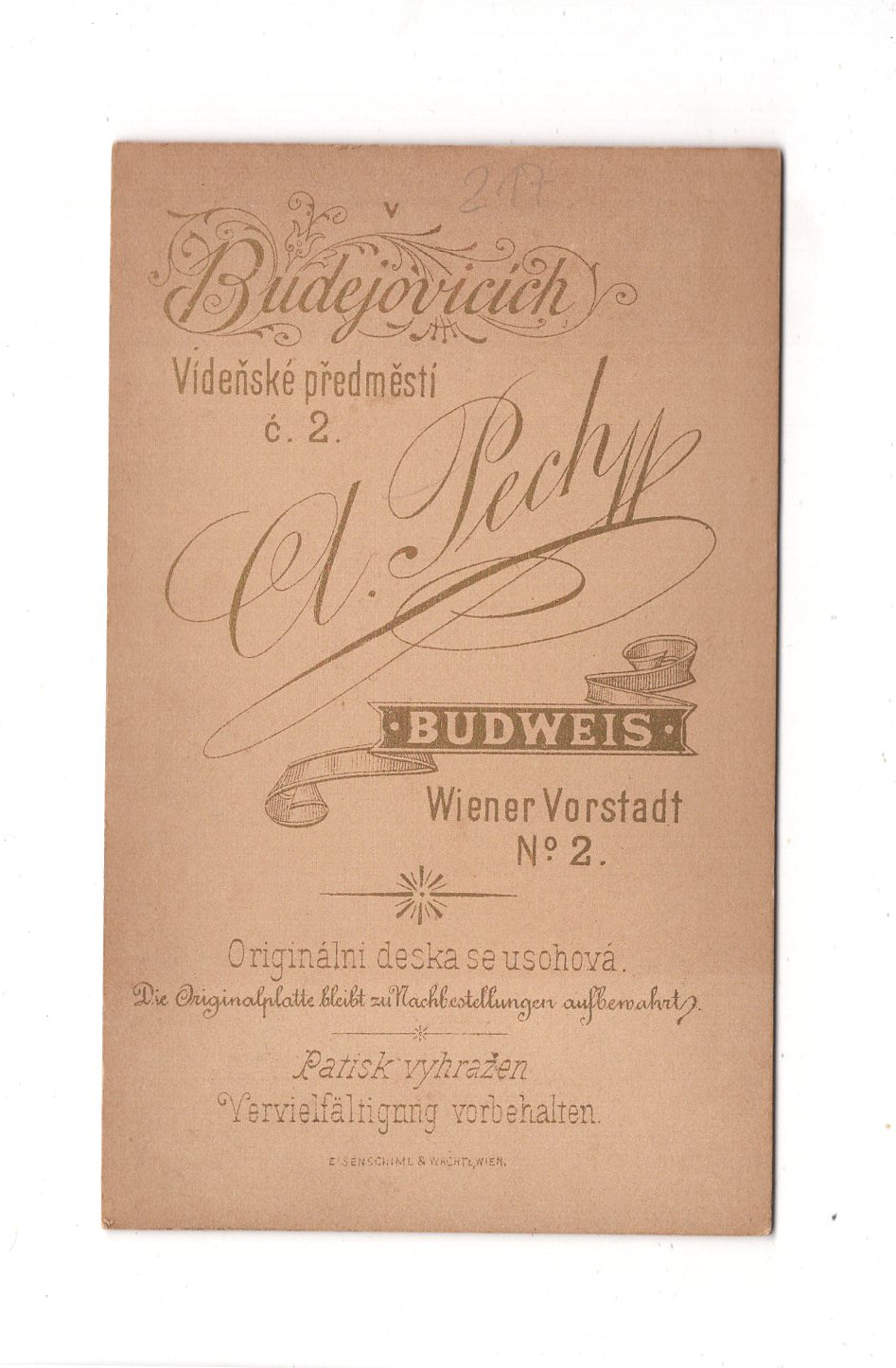 Fotografie Damenportrait - Budweis 1887 / CDV C1-05