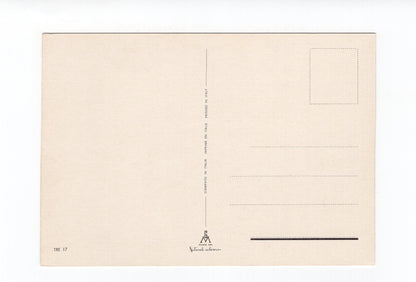Ansichtskarte Dolomiten-Pässe / Südtirol / Italien