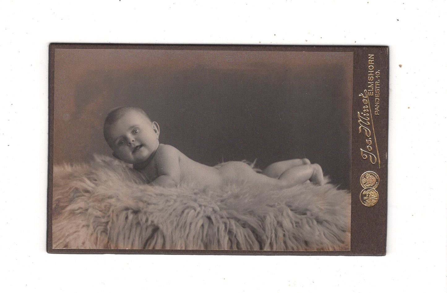 Fotografie Schönes Kinderbild / Baby - Elmshorn 1910er