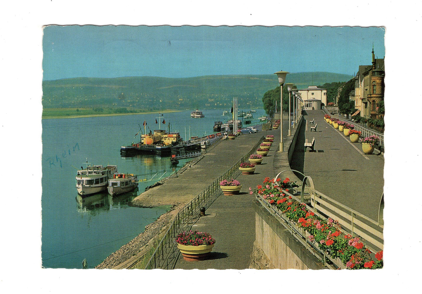 Ansichtskarte Neuwied am Rhein / Rheinanlagen