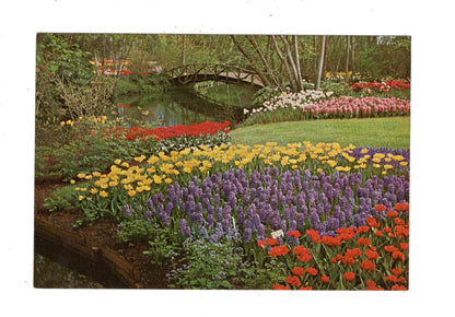 Ansichtskarte Keukenhof / Lisse-Holland/ Niederlande / M1-69