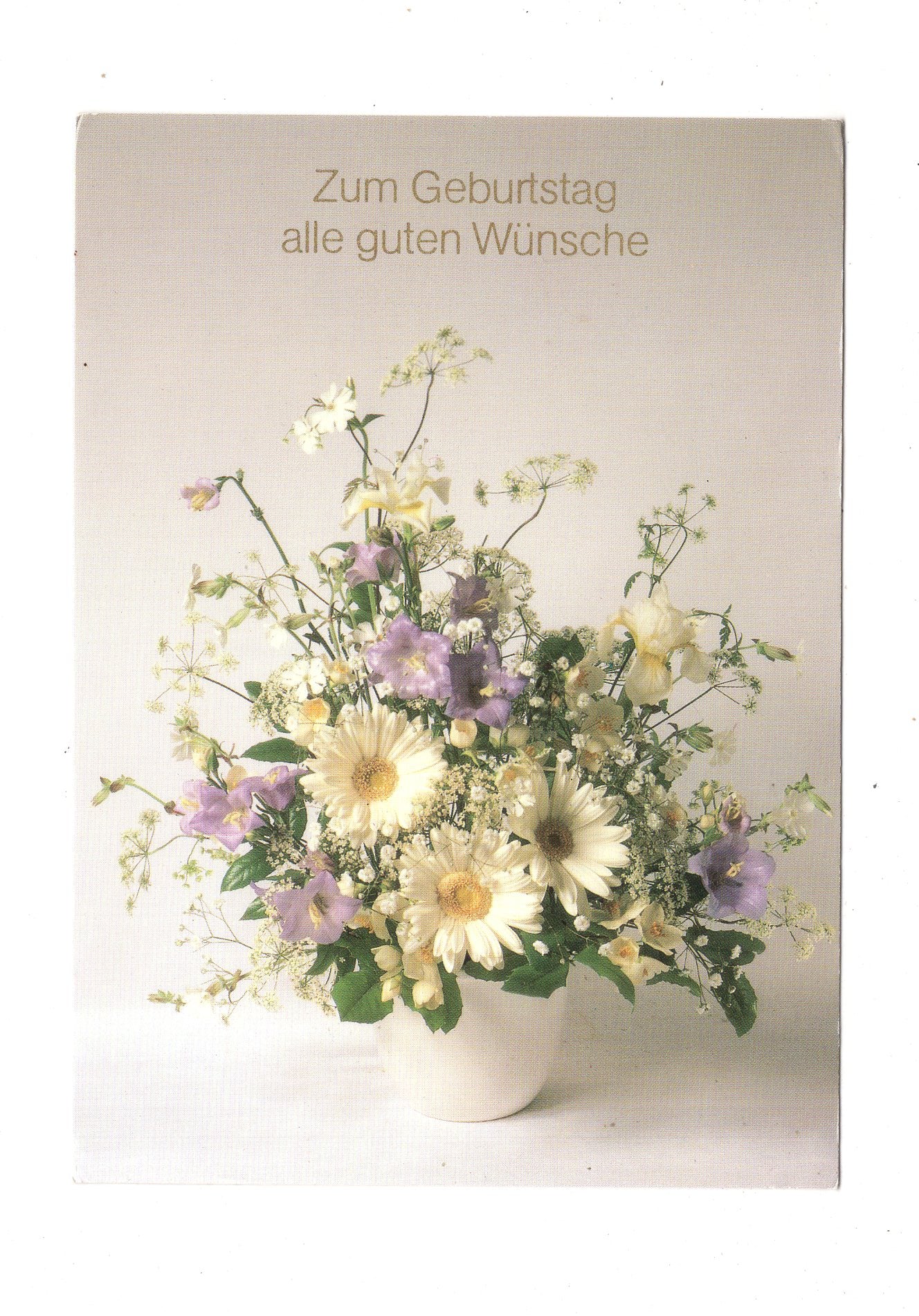 Ansichtskarte Glückwünsche / Glückwunsch zum Geburtstag / L1-58