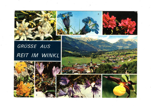 Ansichtskarte Reit im Winkl