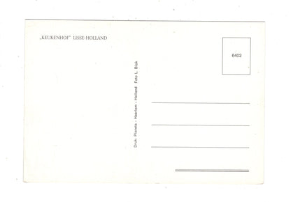 Ansichtskarte Keukenhof / Lisse-Holland/ Niederlande / M1-69