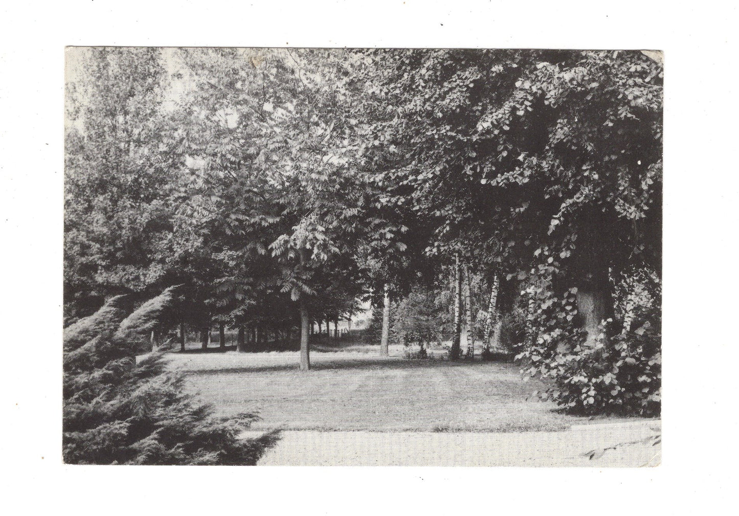 Ansichtskarte Haus Stokershorst / Neederweert / Niederlande / M1-69