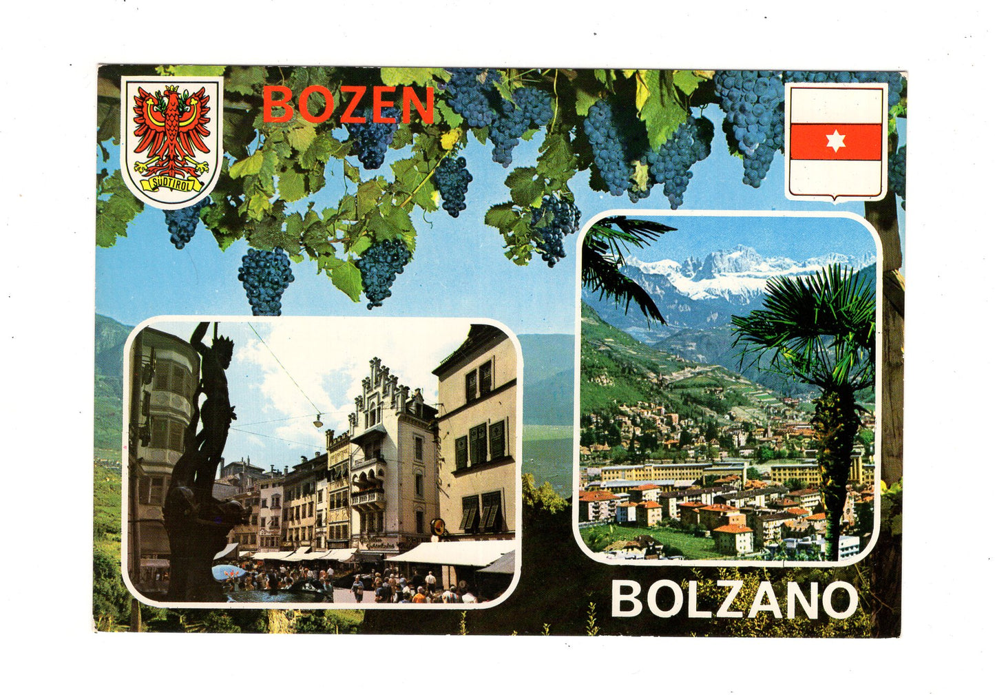 Ansichtskarte Bolzano Bozen / Südtirol / Italien