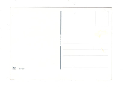 Ansichtskarte Glückwünsche / Glückwunsch zum Geburtstag / L1-58