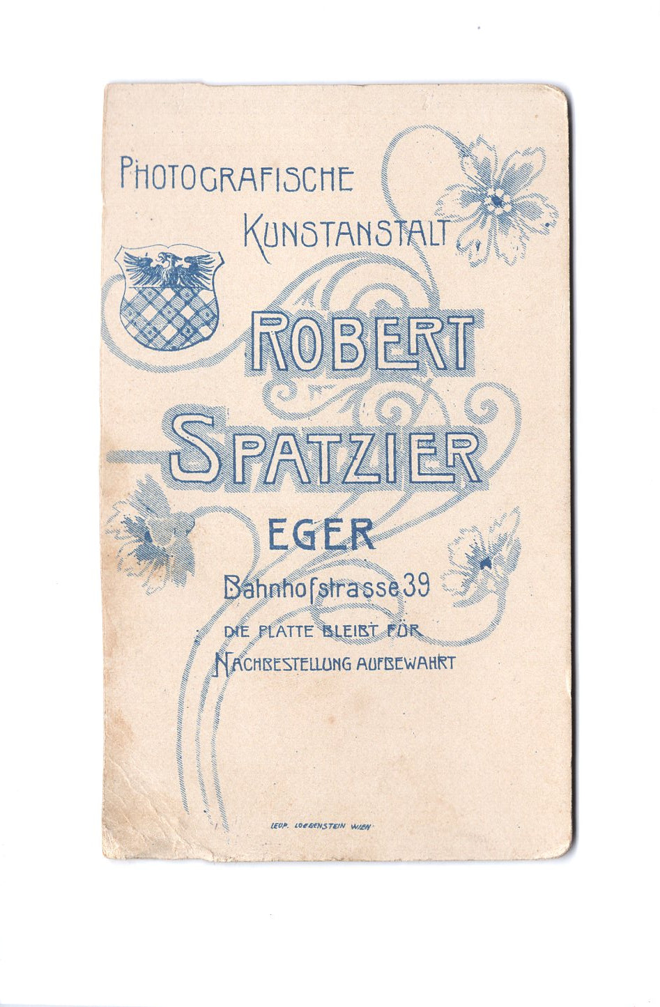 Fotografie Damenportrait - Eger um 1900