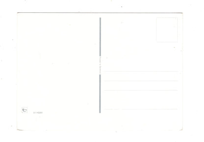 Ansichtskarte Glückwünsche / Glückwunsch zum Geburtstag / L1-58