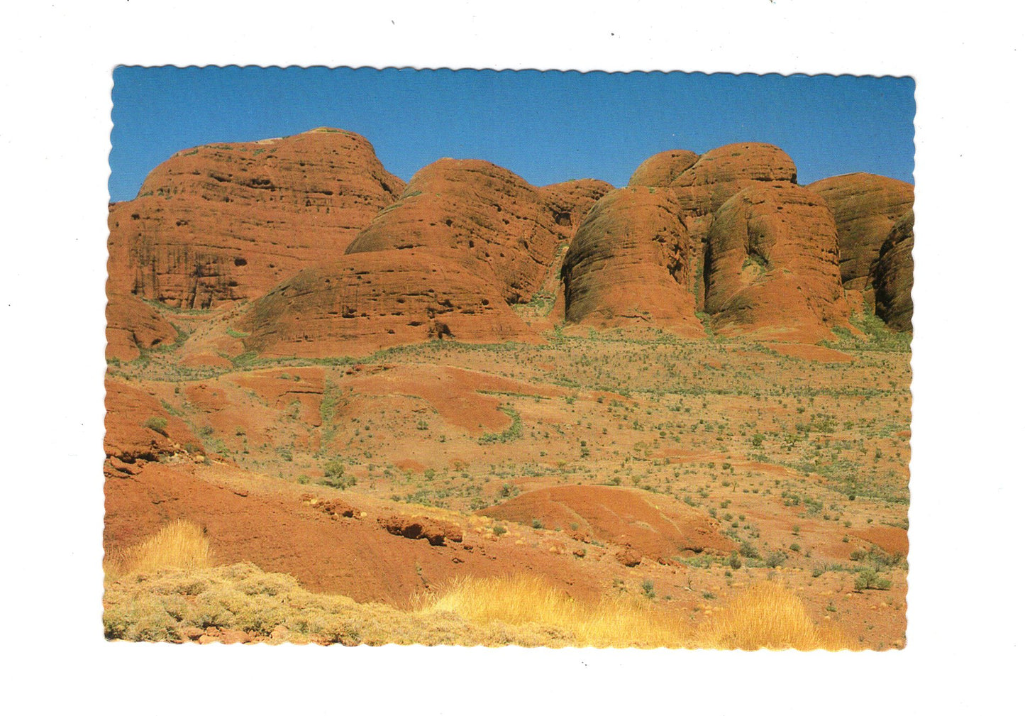 Ansichtskarte The Olgas from Katatjuta Lookout / Australien