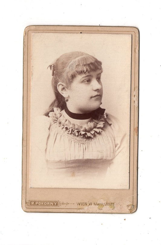 Fotografie Damenportrait - Wien 1892 / CDV N1-15