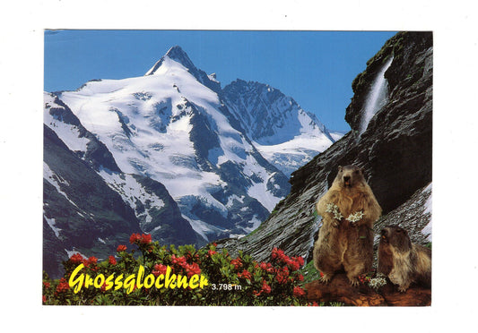 Ansichtskarte Großglockner / Österreich