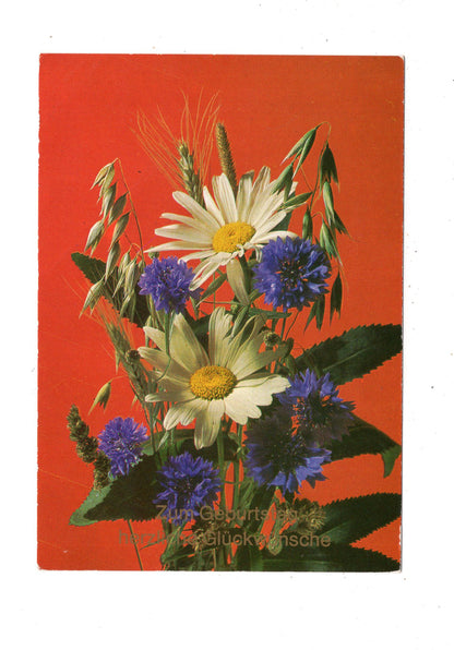 Ansichtskarte Glückwünsche / Glückwunsch zum Geburtstag / L1-58