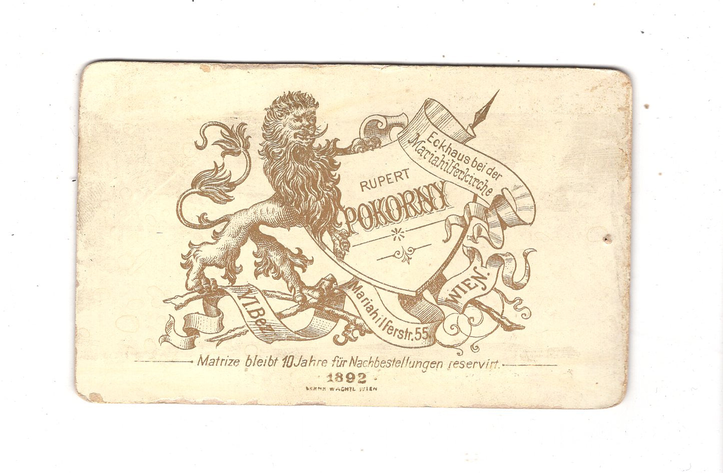 Fotografie Damenportrait - Wien 1892 / CDV N1-15