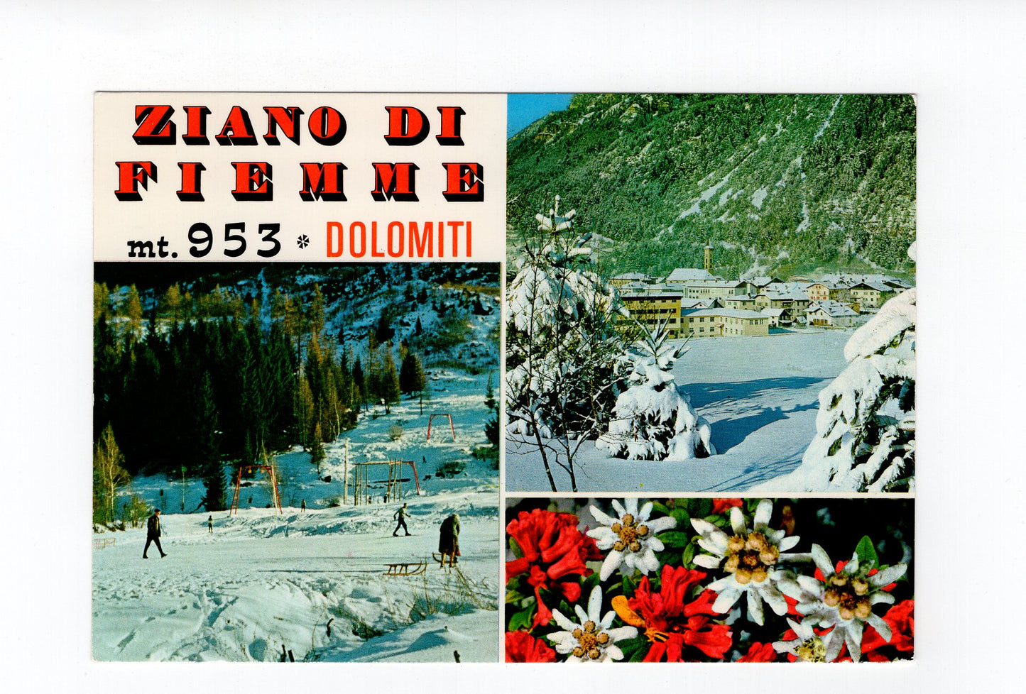 Ansichtskarte Dolomiten / Ziano di Fiemme / Südtirol / Italien