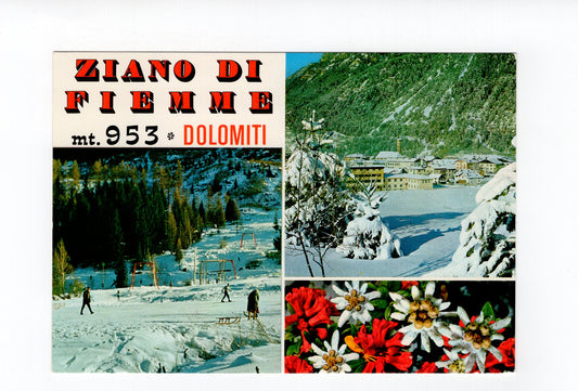 Ansichtskarte Dolomiten / Ziano di Fiemme / Südtirol / Italien
