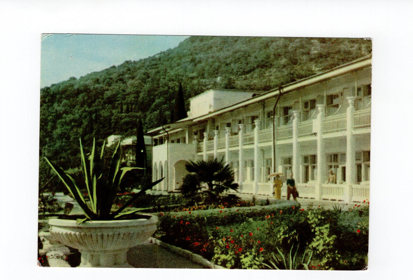 Ansichtskarte Jalta / Kurpaty-Sanatorium / Ukraine