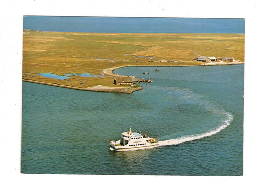 Ansichtskarte Hallig Langeness / Rixwarft und Warft Hilligenlei / J1-67