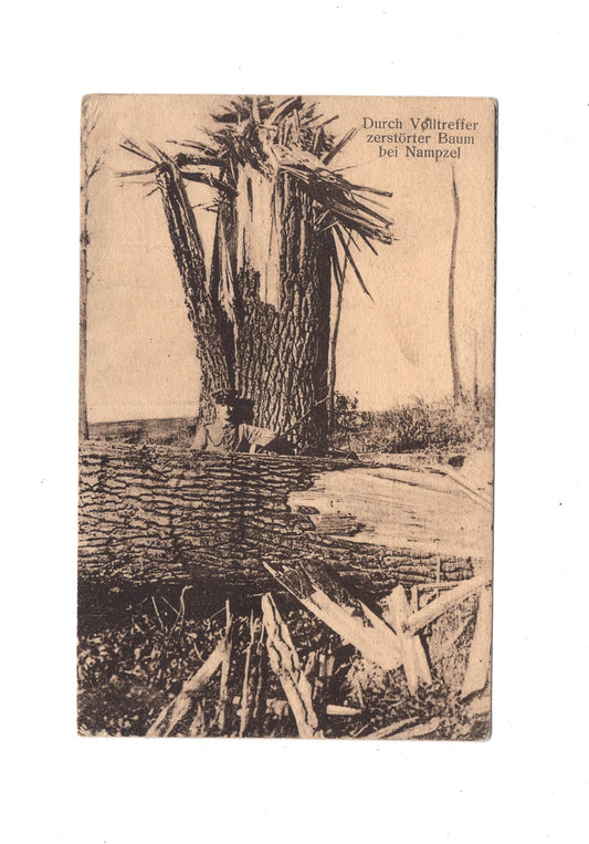 Ansichtskarte / Feldpost Durch Volltreffer zerstörter baum bei Nampzel - 1915