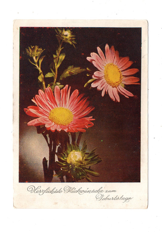 Ansichtskarte Glückwünsche / Glückwunsch zum Geburtstag / L1-58