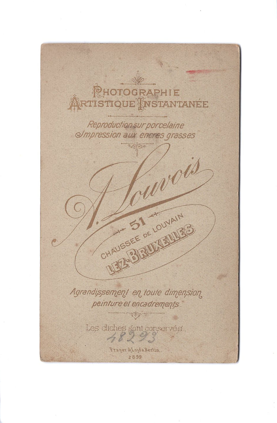 Fotografie Damenportrait - Bruxelles Brüssel 1890er