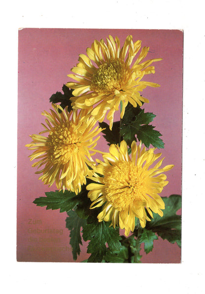 Ansichtskarte Glückwünsche / Glückwunsch zum Geburtstag / L1-58