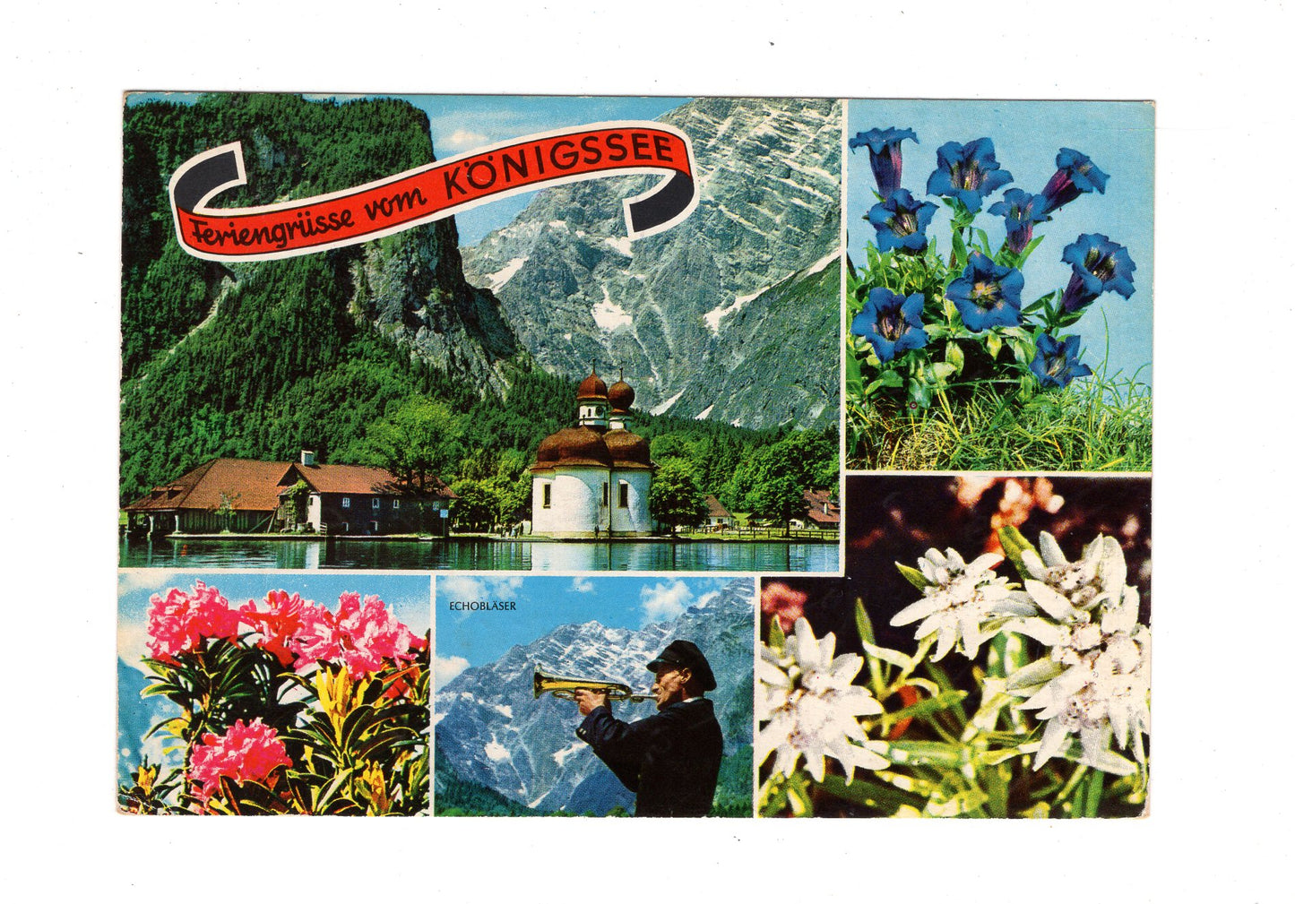 Ansichtskarte Feriengrüße vom Königssee / G1-60