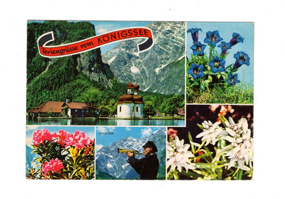 Ansichtskarte Feriengrüße vom Königssee / G1-60