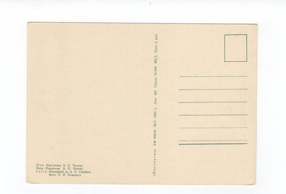 Ansichtskarte Jalta / Chekhov-Monument / Ukraine