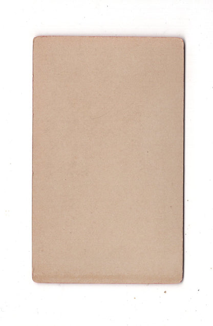 Fotografie Damenportrait - unbekannter Ort 1890er / CDV N1-15